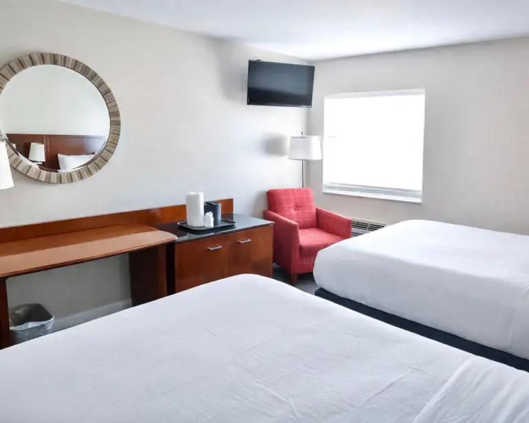 169 standard web image (2)