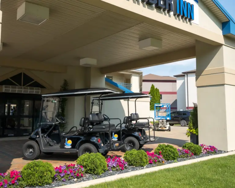 169 standard web image (5)